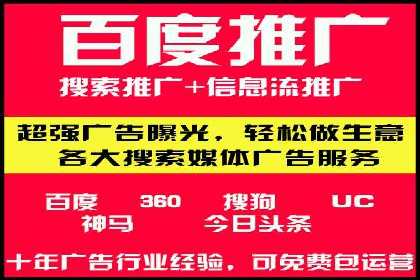 SEM广告案例：数据分析驱动营销决策